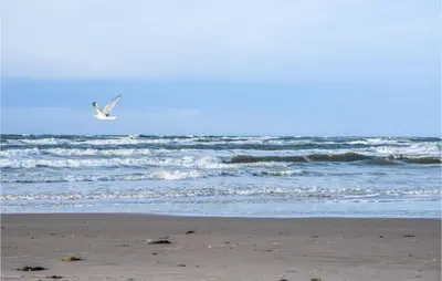 a bird flying over the ocean on the beach at 3 Bedroom Amazing Home In Pandrup in Pandrup