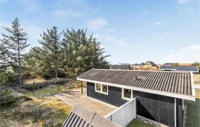 a black house with a metal roof at 2 Bedroom Beautiful Home In Thisted in Thisted