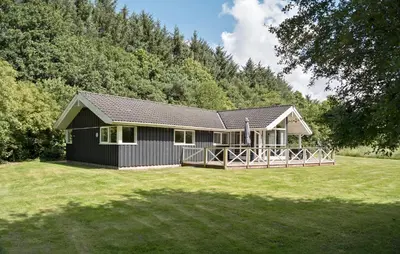 a small black house on a grassy field at Lovely Home In Bedsted Thy With Sauna in Bedsted Thy