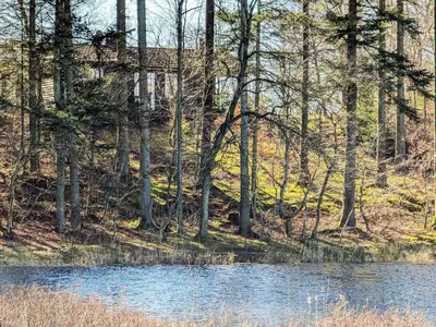 a body of water in the woods with trees at 4 person holiday home in Aars-By Traum in Års