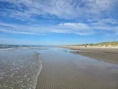 a beach with a few birds standing in the water at 6 person holiday home in Saltum-By Traum in Saltum