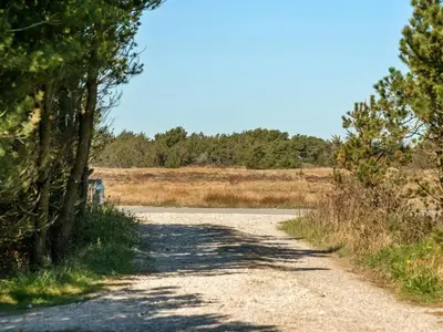 a dirt road with trees on the side of it at Holiday Home Anegrete - 900m from the sea by Interhome in Torsted