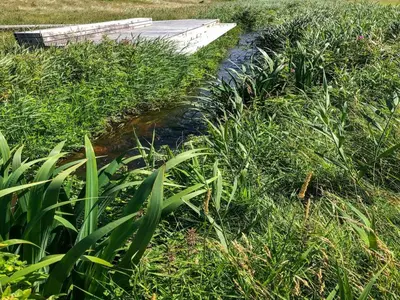 a wooden walkway in a field of grass at Holiday Home Lökea - 800m from the sea by Interhome in Torsted