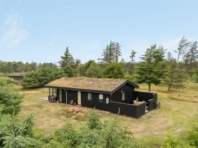 a black cabin in the middle of a field at Holiday Home Jorek - 1-3km from the sea by Interhome in Saltum