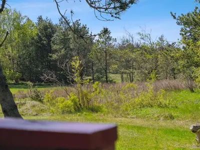 a view of a field with trees and grass at Holiday Home Therbern - 1-7km from the sea by Interhome in Saltum