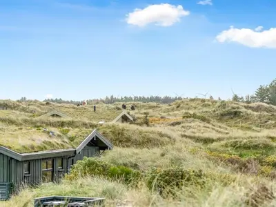 a house with a grass roof on top of a hill at Holiday Home Fransine - 480m from the sea by Interhome in Saltum