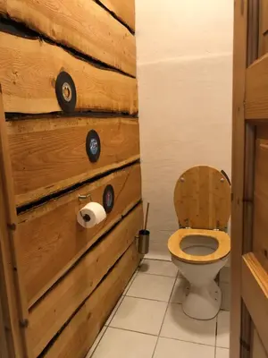 a bathroom with a toilet and a wooden wall at La Ola in Hanstholm