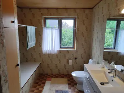 a bathroom with a sink and a toilet and two windows at Hjortdal B&B in Fjerritslev