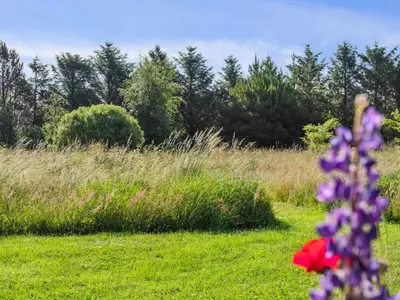 a field with purple and red flowers in the grass at Holiday Home Elsia - 1-5km to the fjord by Interhome in Frøstrup