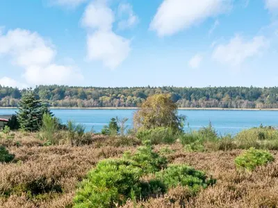 a view of a lake with trees in the background at Holiday Home Tordis - 250m to the fjord by Interhome in Roslev