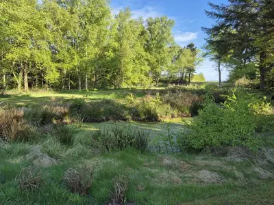 a field of grass with trees and a body of water at Holiday Home Aswarth - 50m to the fjord by Interhome in Fur