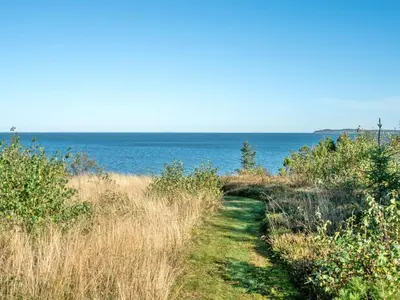a path through the grass next to the ocean at Holiday Home Thrine - 100m to the fjord by Interhome in Fur
