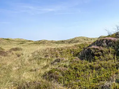 a hillside with grass and weeds on it at Holiday Home Marjon - 400m from the sea by Interhome in Pandrup