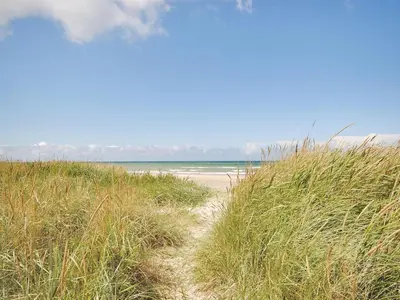 a path through the tall grass on a beach at Holiday Home Einette - 3-5km from the sea by Interhome in Fjerritslev