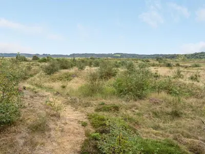 a dirt road in a field with grass and bushes at Holiday Home Waldar - 900m from the sea by Interhome in Fjerritslev