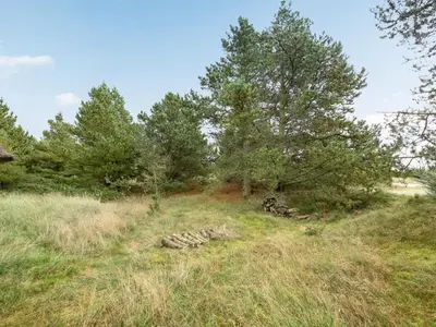 a grassy hill with trees on it at Holiday Home Catarine - 1-1km from the sea by Interhome in Fjerritslev