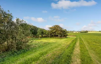 a field with trees and a dirt road at 2 Bedroom Nice Home In Bedsted Thy in Bedsted Thy