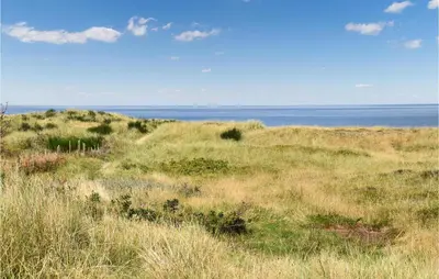a field of grass with the ocean in the background at 2 Bedroom Amazing Home In Hanstholm in Hanstholm