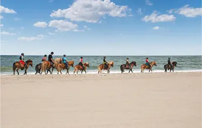 a group of people riding horses on the beach at Gorgeous Home In Hanstholm With Wifi in Hanstholm