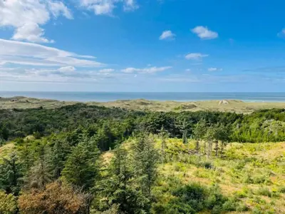 an open field with trees and the ocean in the background at 6 person holiday home in Thisted-By Traum in Torsted