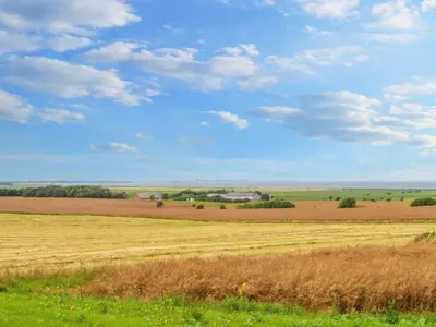 a field of crops with a blue sky and clouds at 12 person holiday home in Lemvig-By Traum in Lemvig
