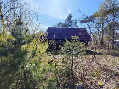 an old barn in the middle of a forest at Tranum Klit Camping og Hytteudlejning in Brovst
