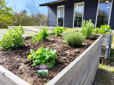 a garden in front of a house with a yard meter at Tranum Klit Camping og Hytteudlejning in Brovst