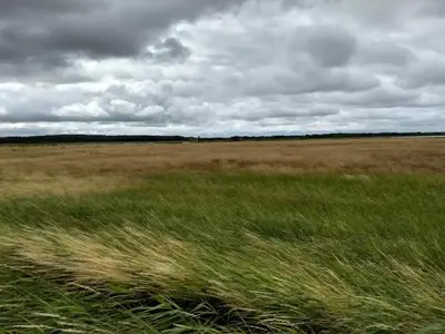 a field of tall grass with a cloudy sky at 6 person holiday home in Løgstør-By Traum in Løgstør